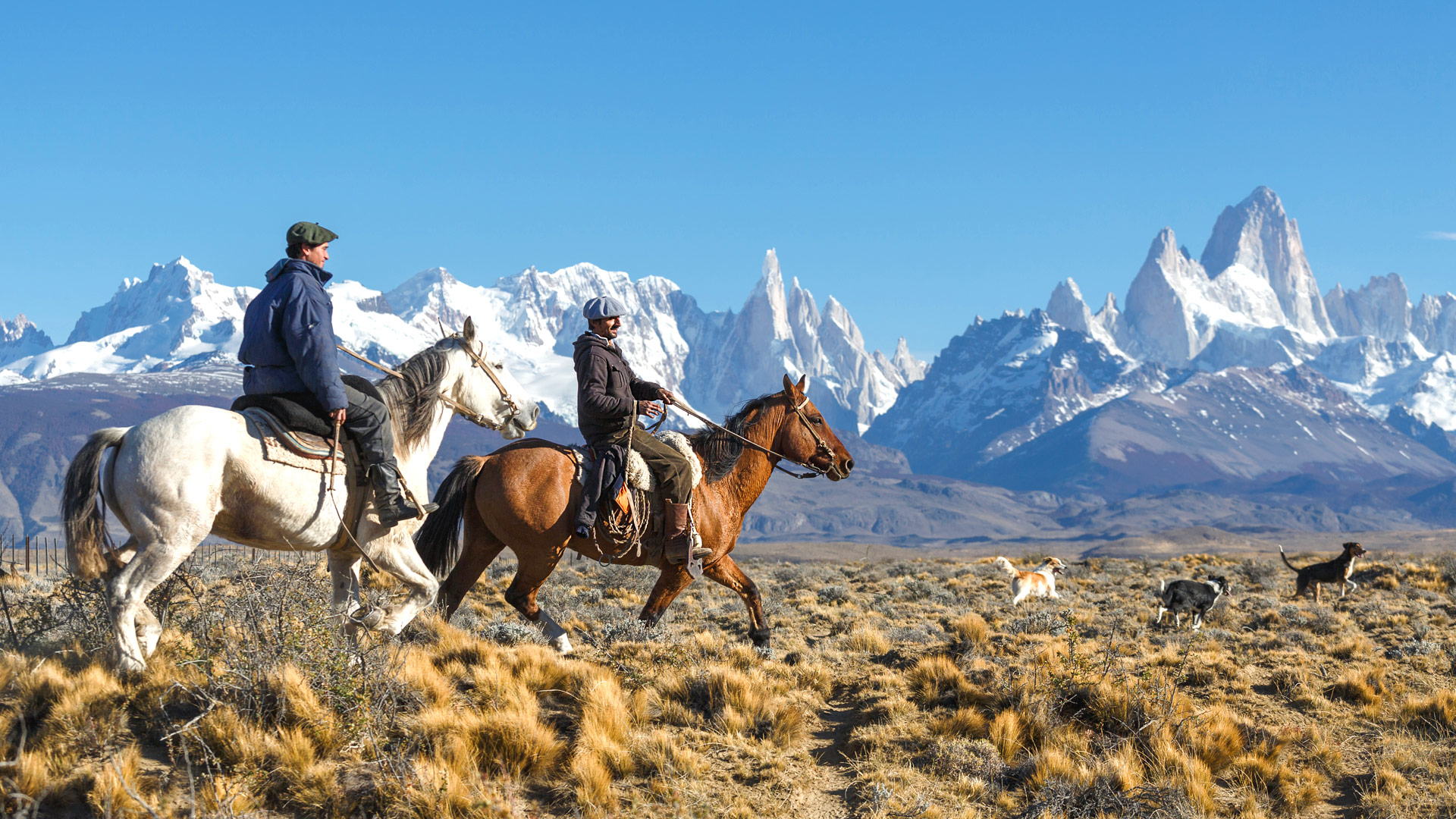 Safari to Los Glaciares