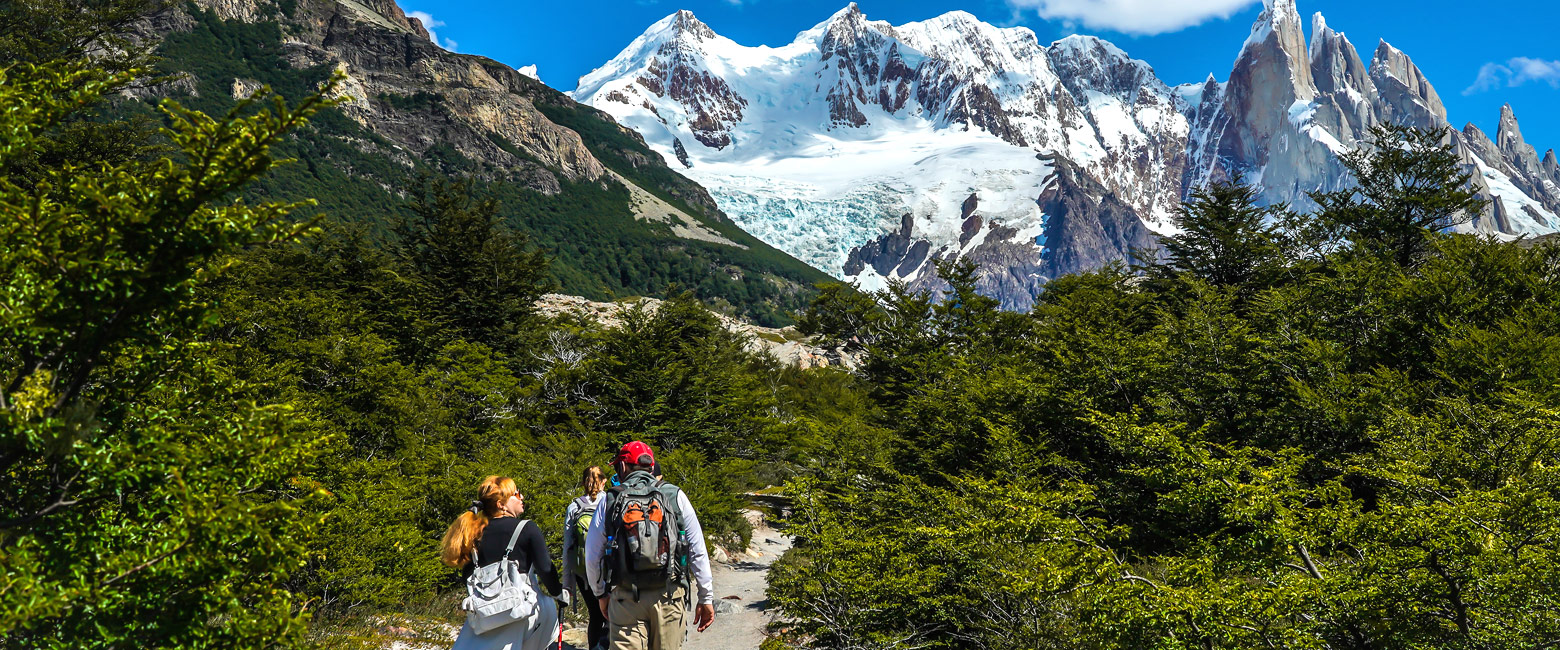 let us know your thoughts about Argentina and we will help you create the perfect safari