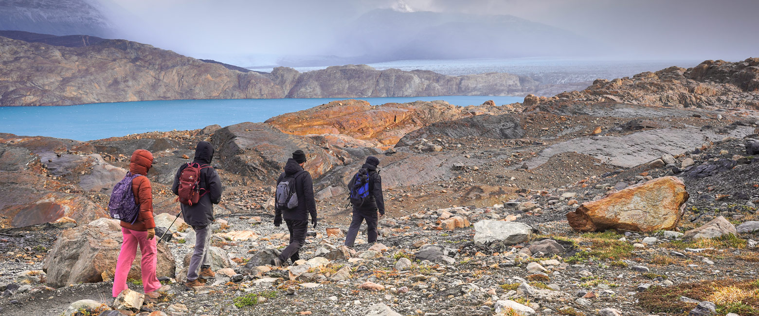 let us know your thoughts about Argentina and we will help you create the perfect safari