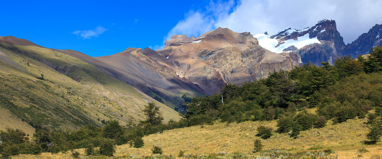 let us know your thoughts about Argentina and we will help you create the perfect safari