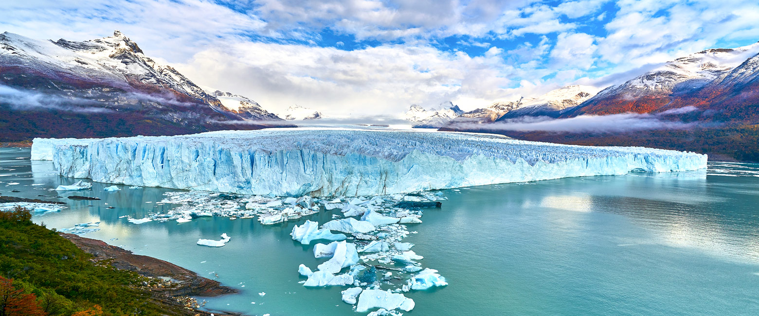 let us know your thoughts about Argentina and we will help to create the perfect safari