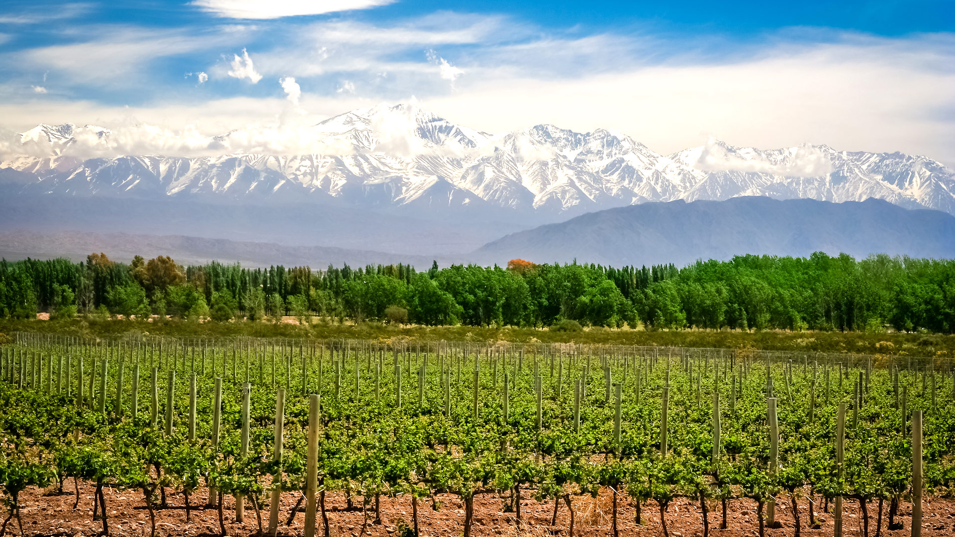 Travel to Mendoza