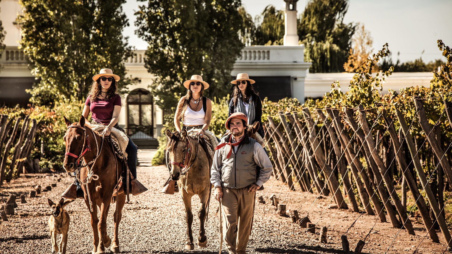 Cavas Wine Lodge