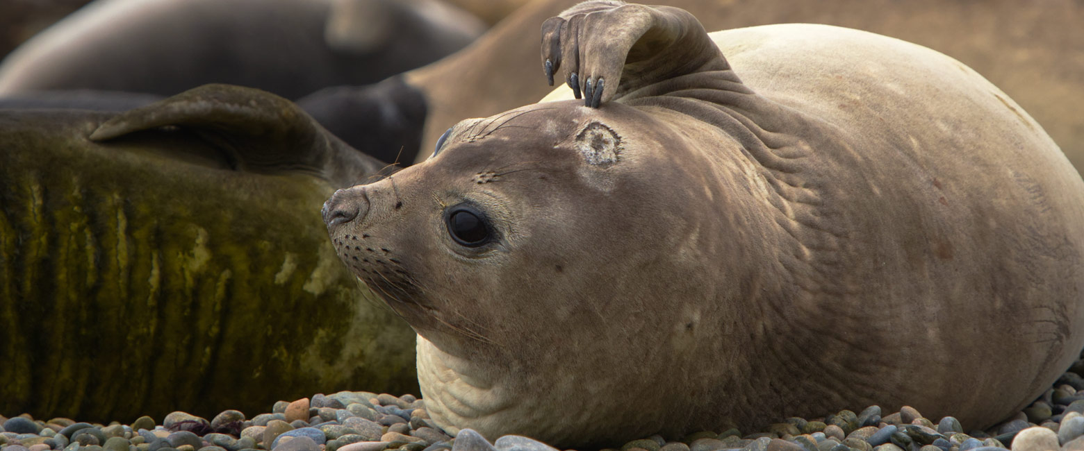 let us know your thoughts about Argentina and we will help you create the perfect safari