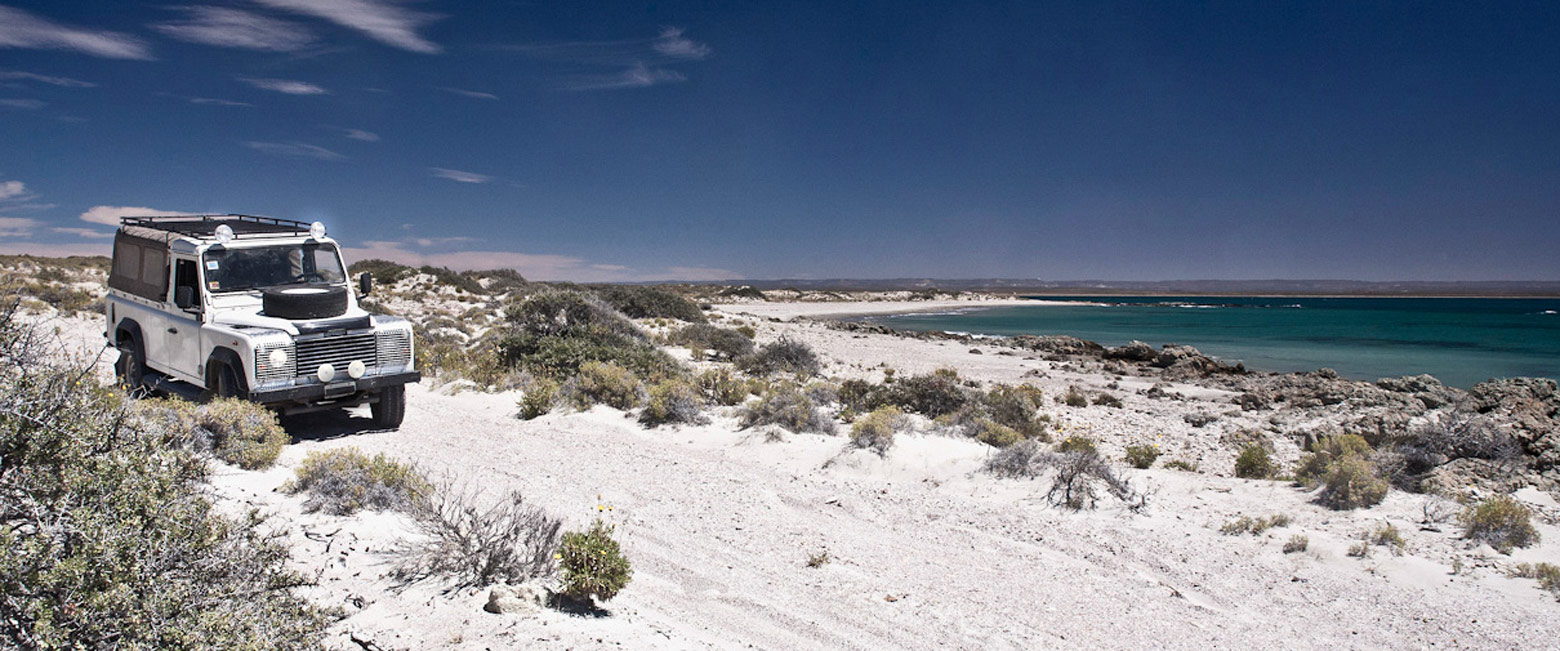 let us know your thoughts about Argentina and we will help you create the perfect safari 