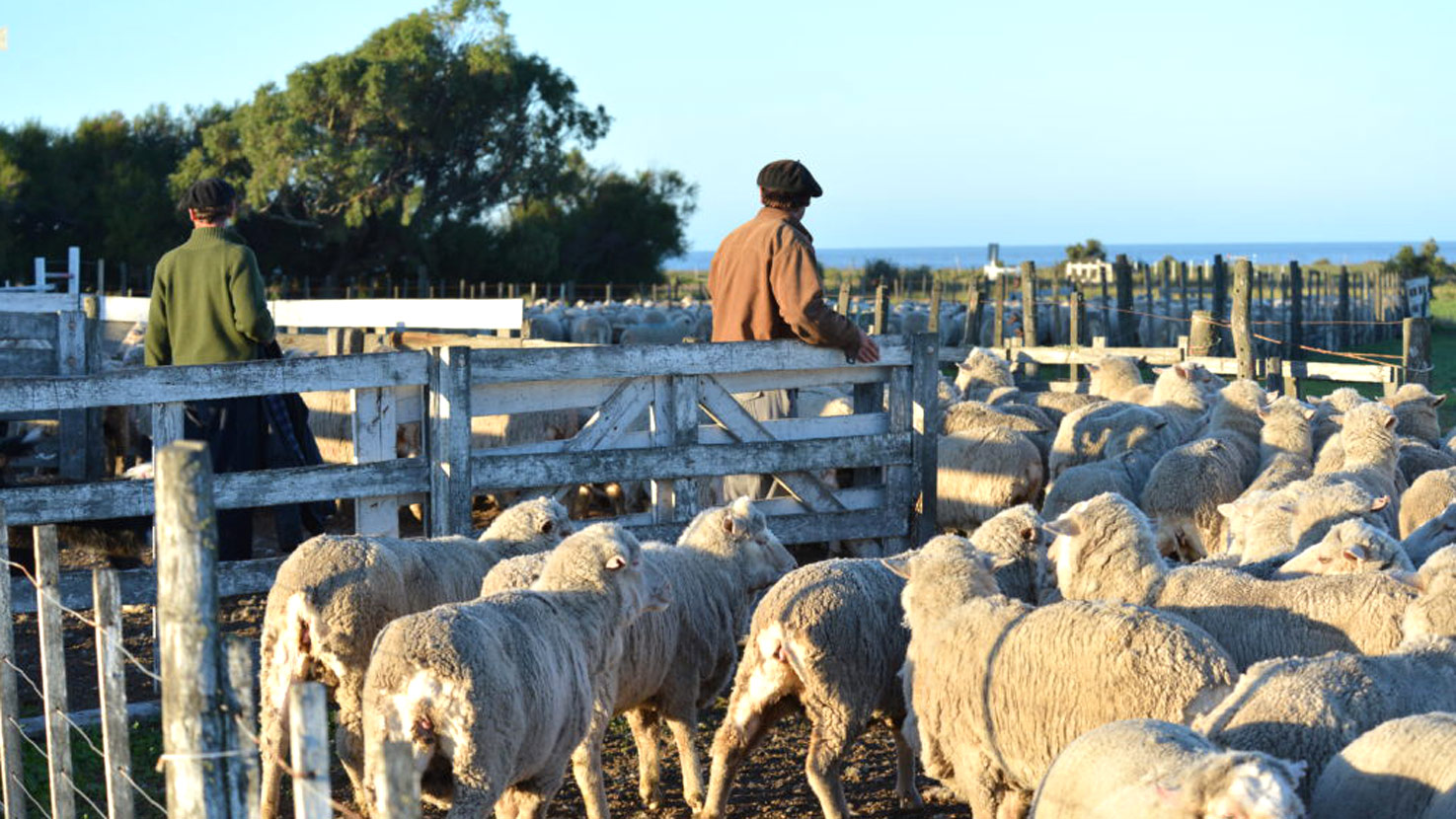 Estancia La Ernestina