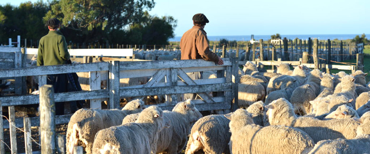 let us know your thoughts about Argentina and we will help you create the perfect safari 