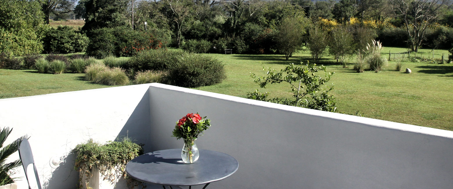 let us know your thoughts about Argentina and we will help you create the perfect safari