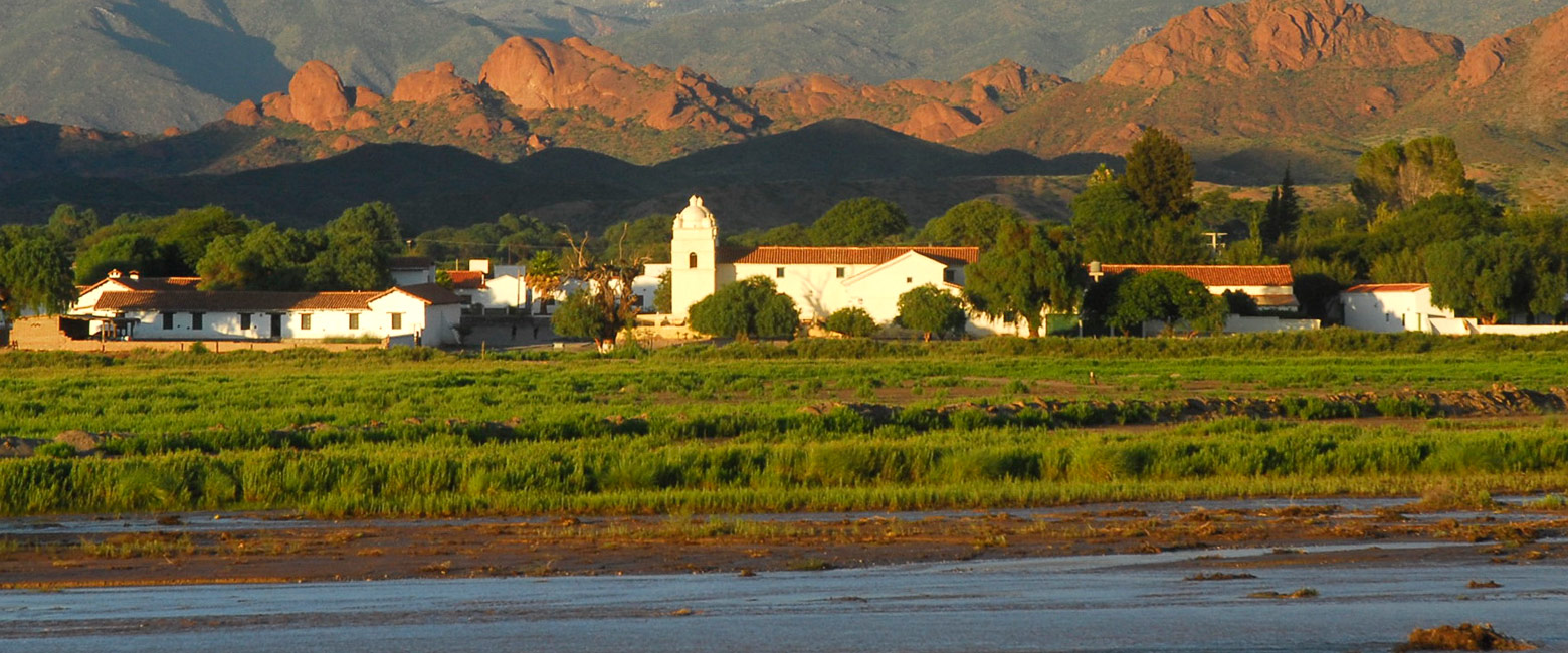 let us know your thoughts about Argentina and we will help you create the perfect safari 