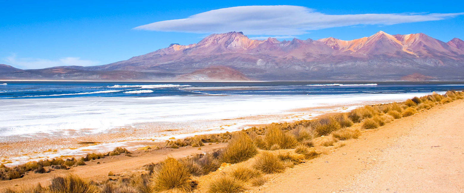 let us know your thoughts about Argentina and we will help you create the perfect safari 