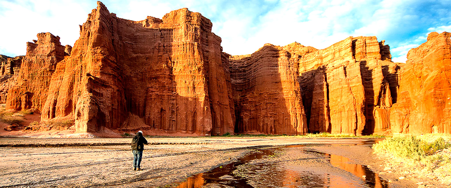let us know your thoughts about Argentina and we will help you create the perfect safari