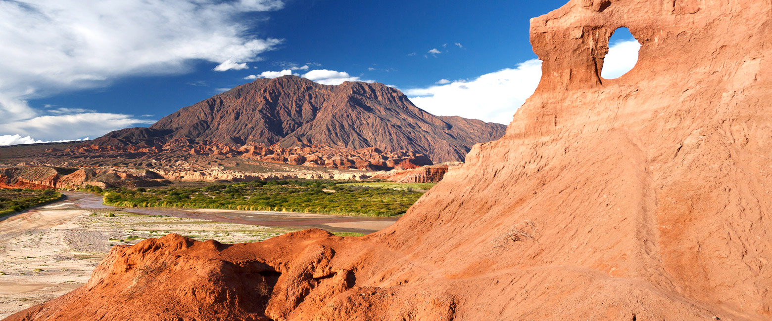 let us know your thoughts about Argentina and we will help you create the perfect safari 