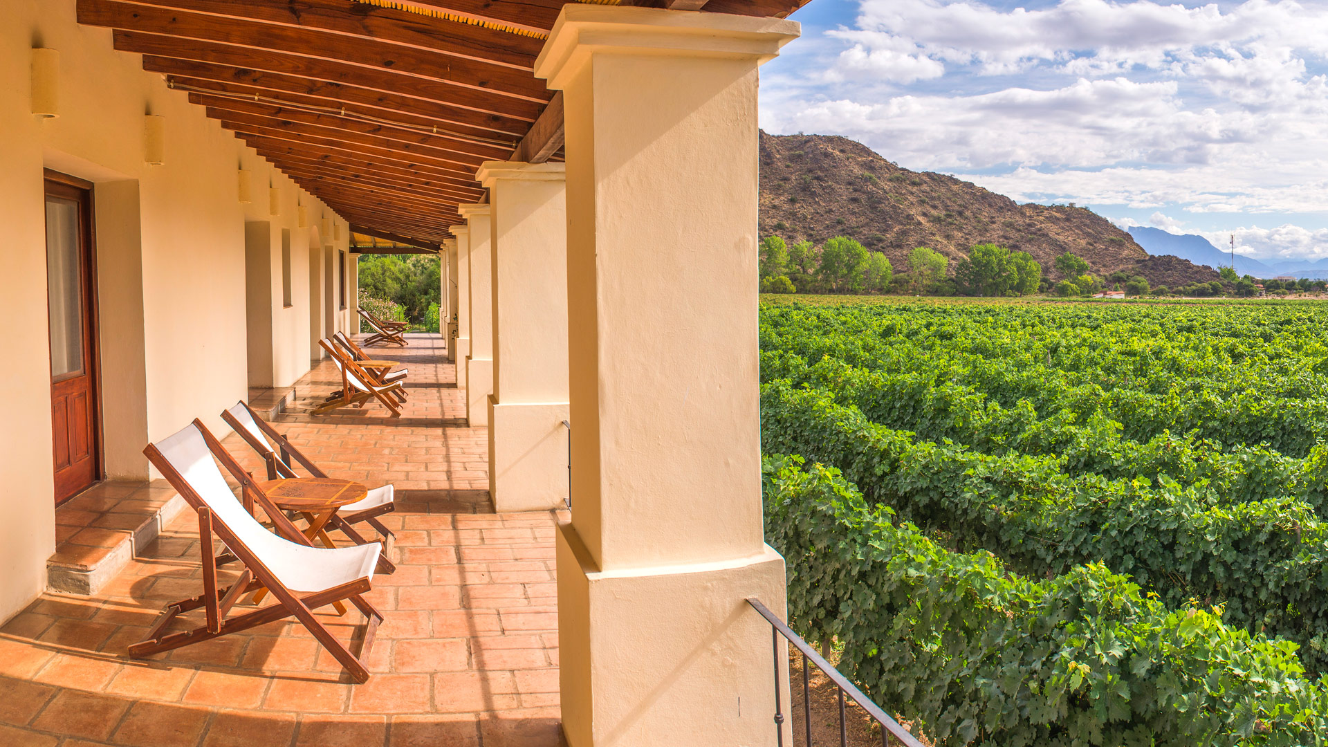 Vinas de Cafayate