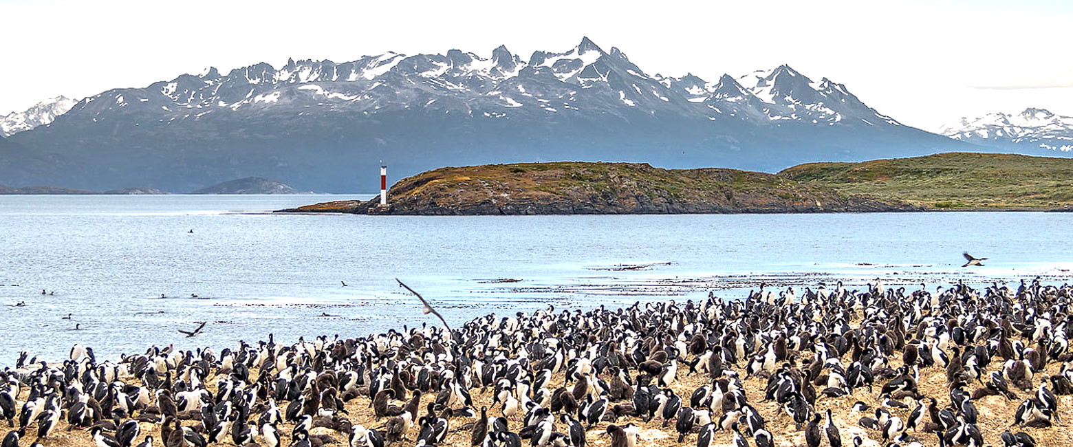 let us know your thoughts about Argentina and we will help you create the perfect safari
