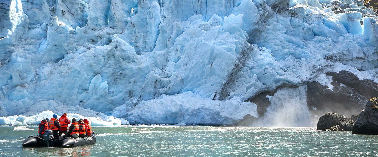 let us know your thoughts about Argentina and we will help you create the perfect safari