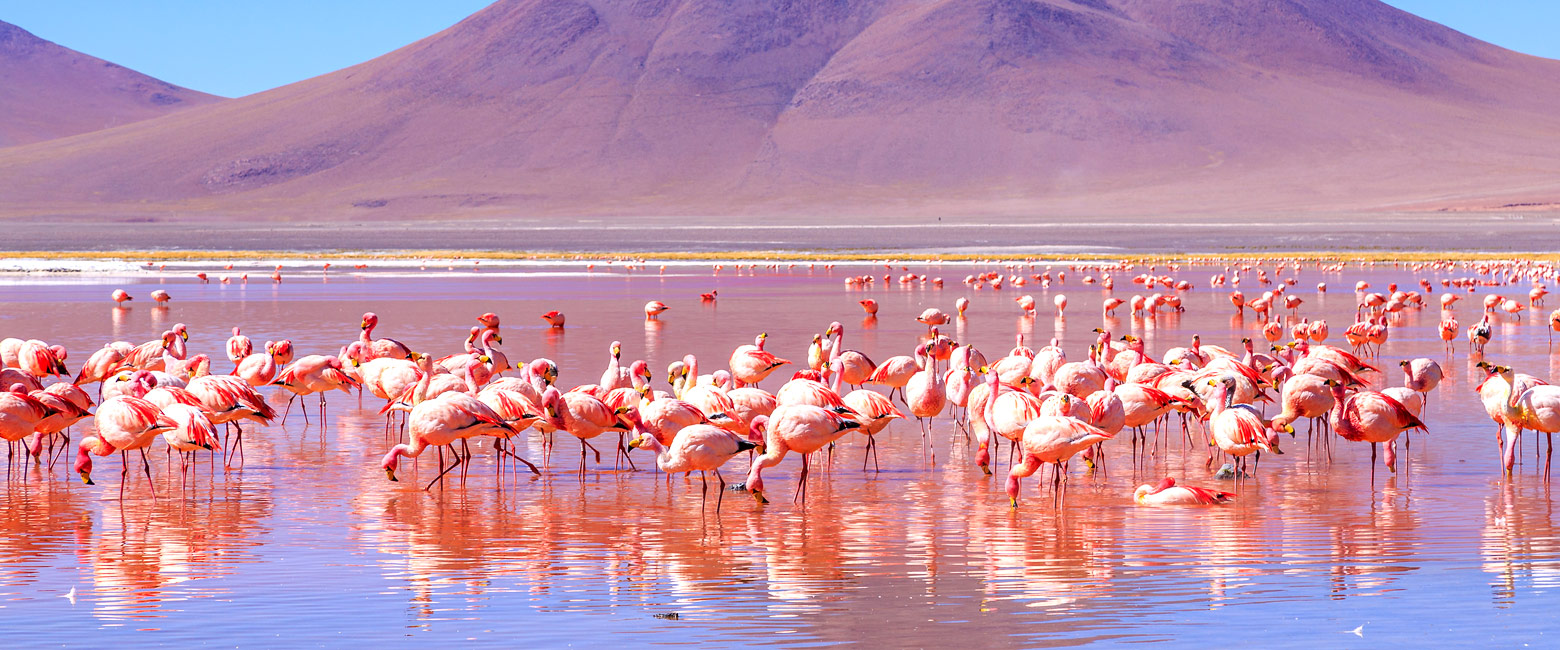 is a high altitude area north from Atacama 