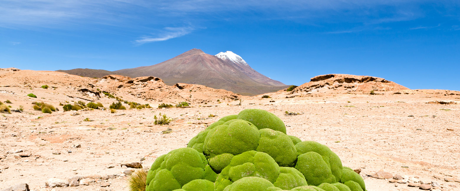 let us know your thoughts about Bolivia and we will help you create the perfect trip 