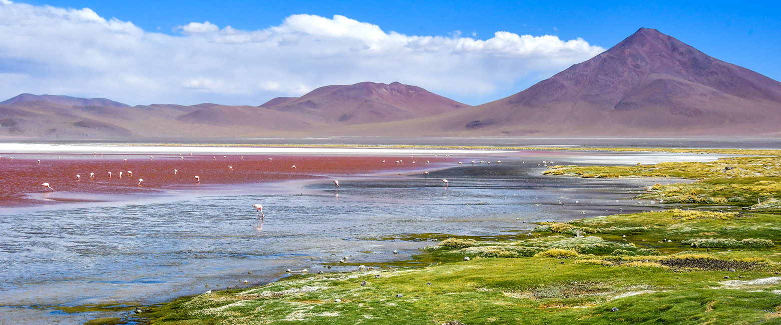 let us know your thoughts about Bolivia and we will help you create the perfect safari