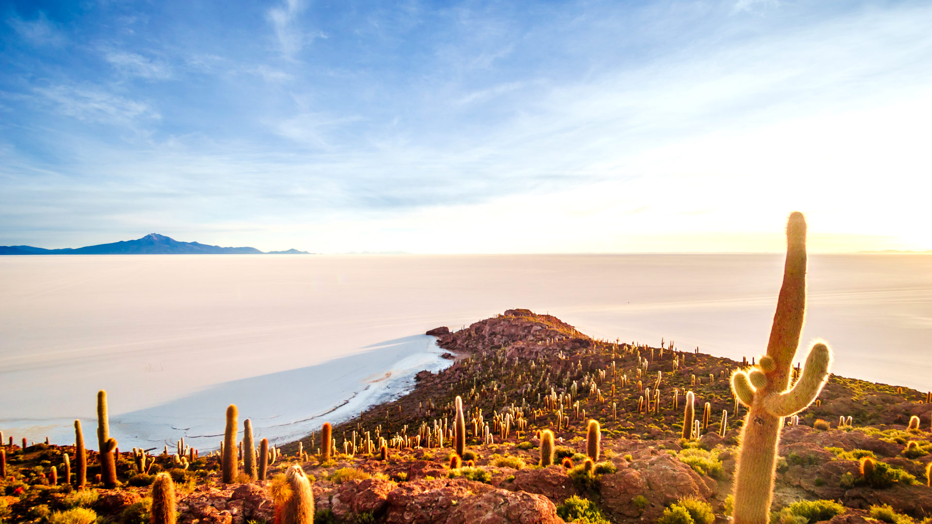 Safari in Salar de Uyuni