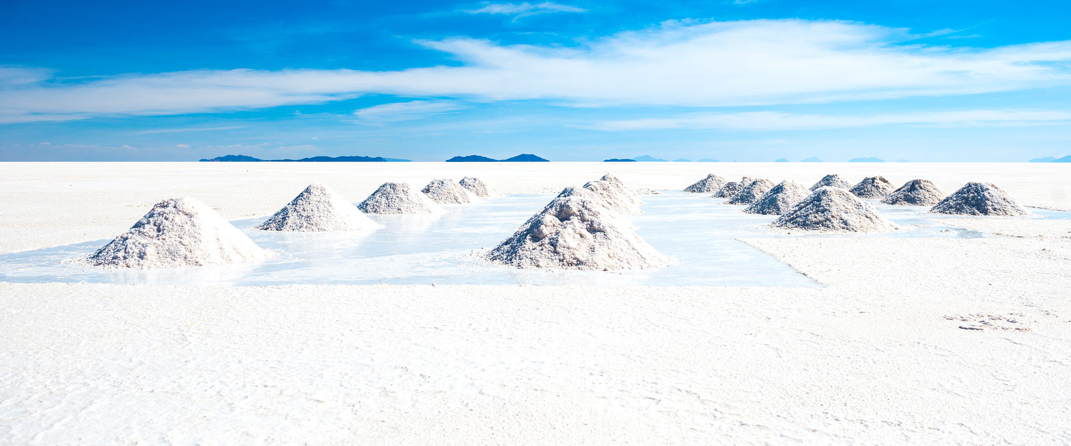 let us know your thoughts about Bolivia and we will help you create the perfect safari
