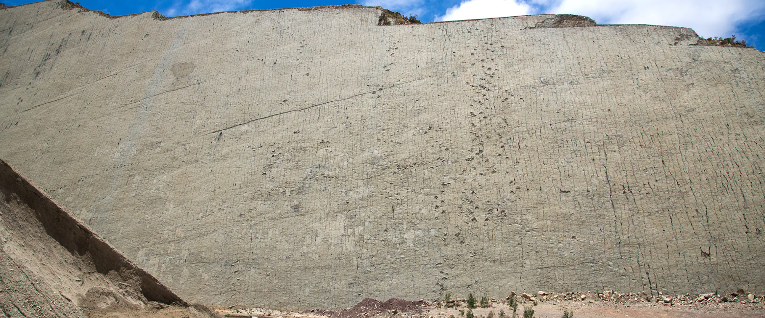 let us know your thoughts about Bolivia and we will help you create the perfect safari 