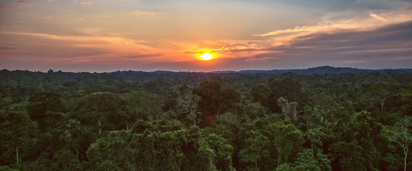 let us know your thoughts about Brazil and we will help you create the perfect trip