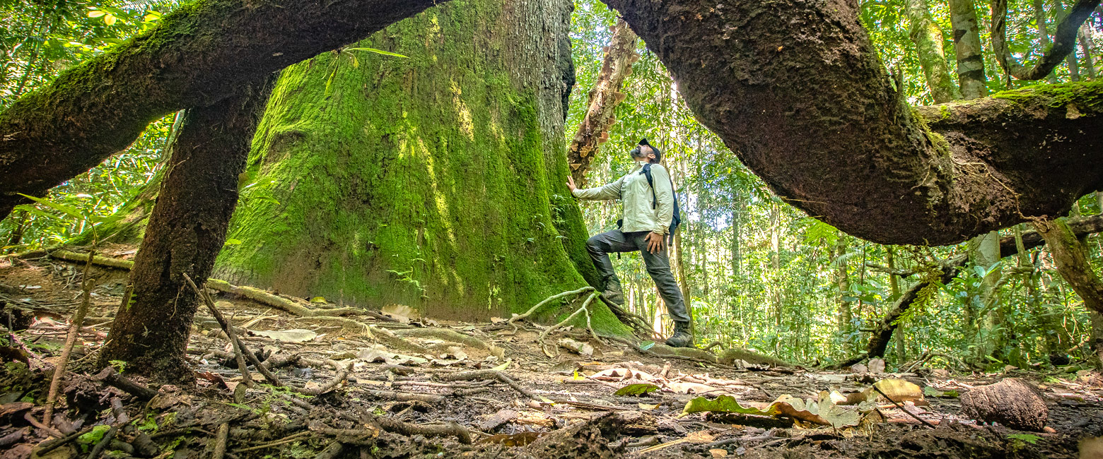 let us know your thoughts about Brazil and we will help you create the perfect safari