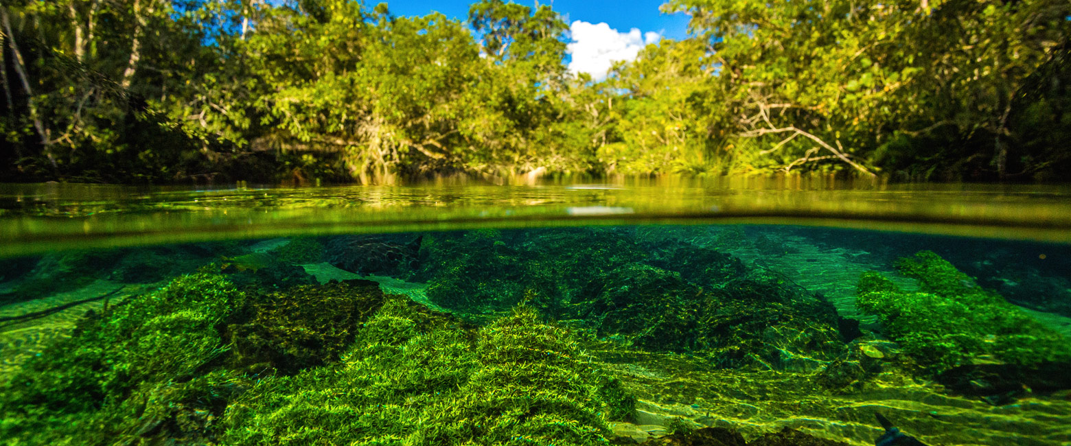 is a delightful and remote rural area, a strong location for viewing giant anteaters