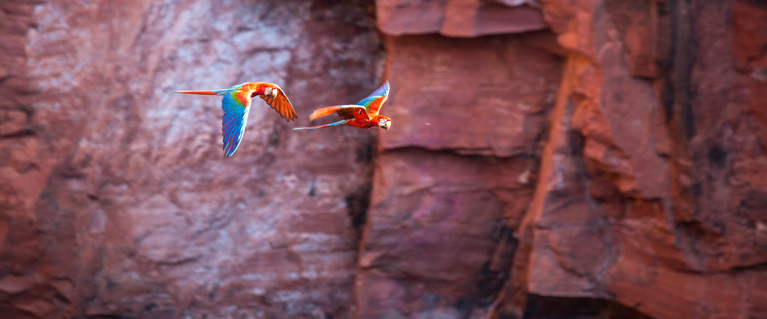 let us know your thoughts about Brazil and we will make sure to deliver the perfect trip