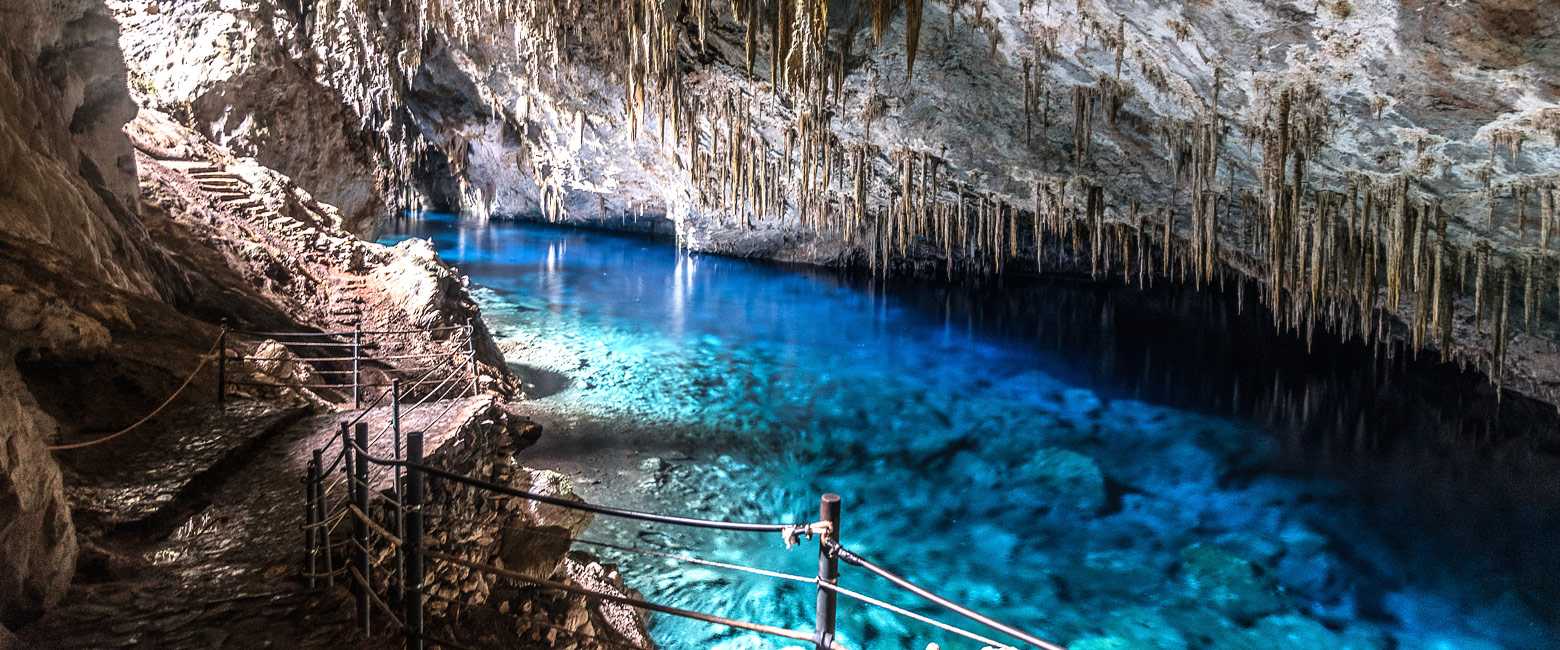 let us know your thoughts about Brazil and we will make sure to deliver the perfect safari