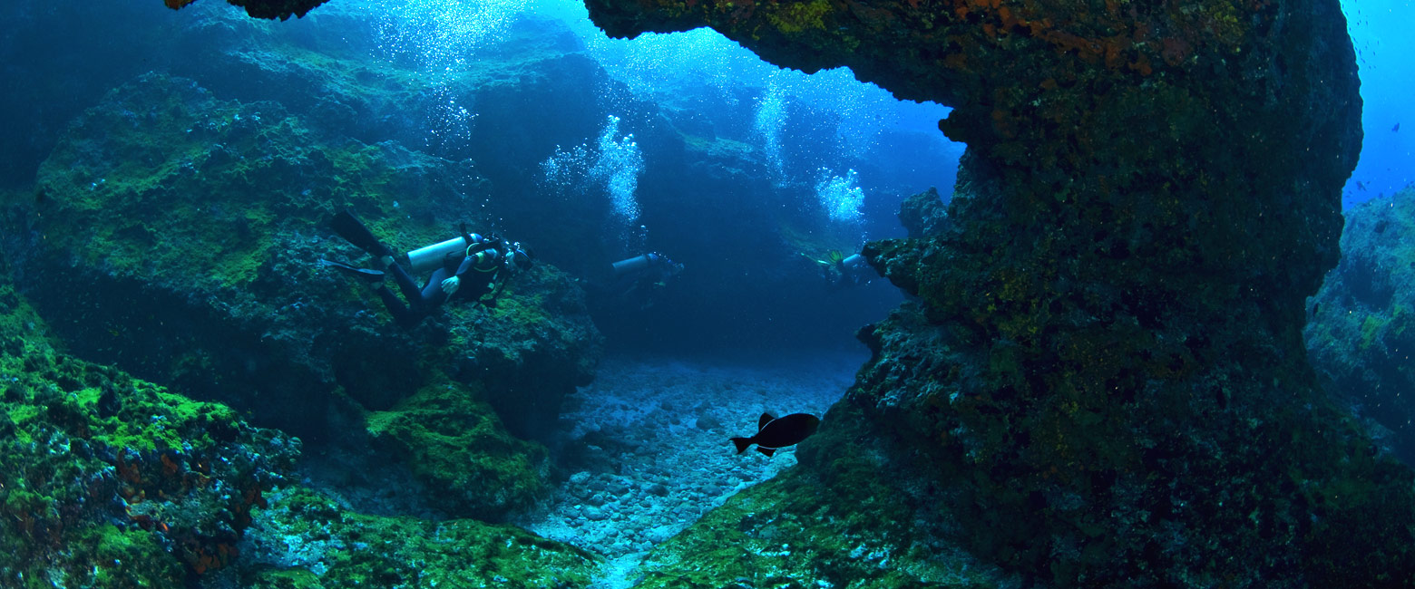 let us know your thoughts about Brazil and we will help you create the perfect trip