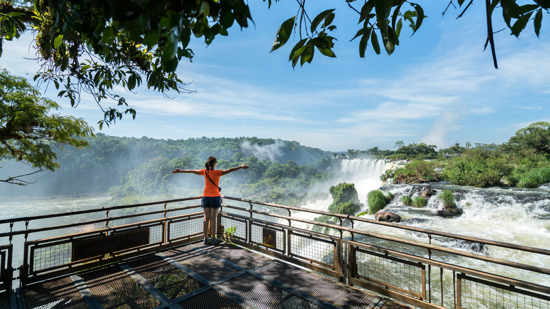 Safari to Iguacu Norte