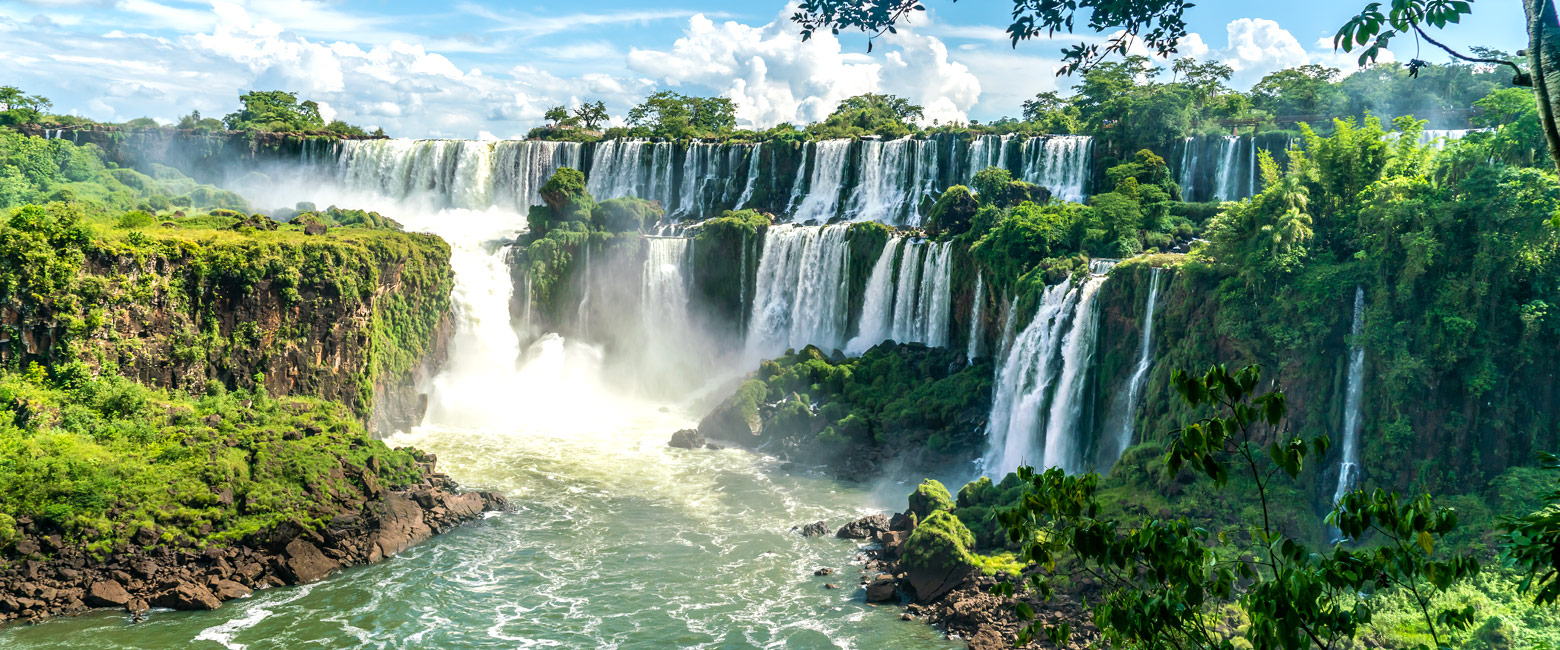 let us know your thoughts about Brazil and we will help you create the perfect safari
