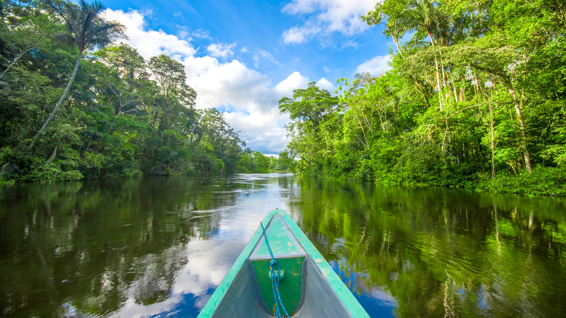 Safari in Manaus Amazon