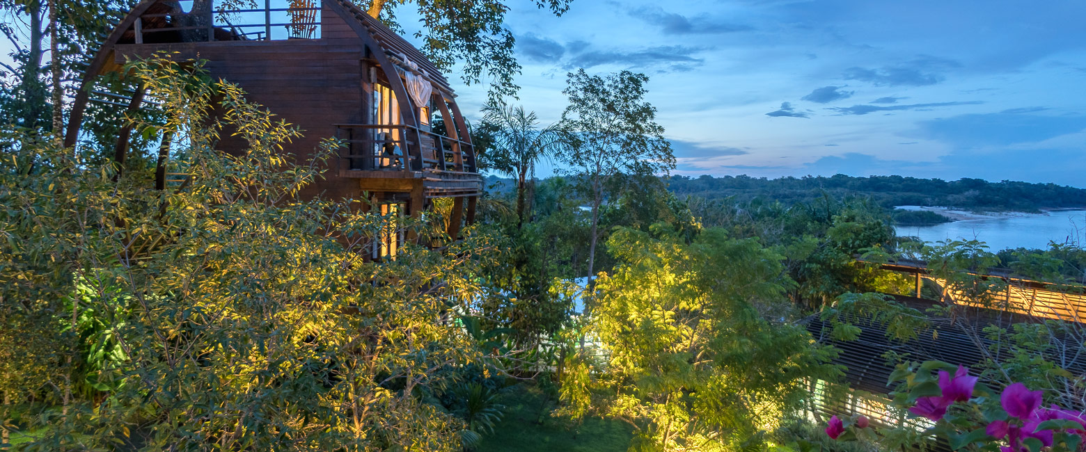 let us know your thoughts about Brazil and we will help you create the perfect safari