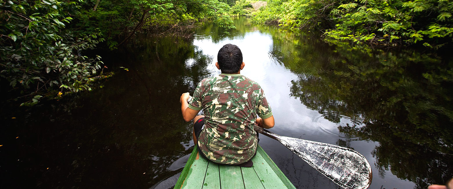 let us know your thoughts about Brazil and we will help you create the perfect safari 