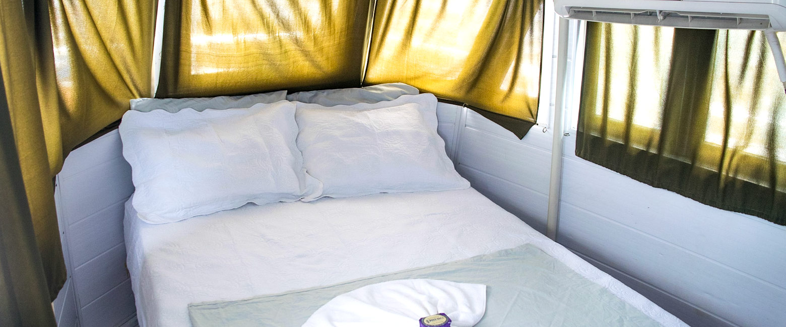 is a four night private expedition in the Manaus Amazon area