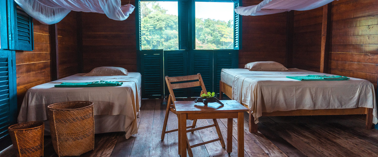let us know your thoughts about Brazil and we will help you create the perfect safari