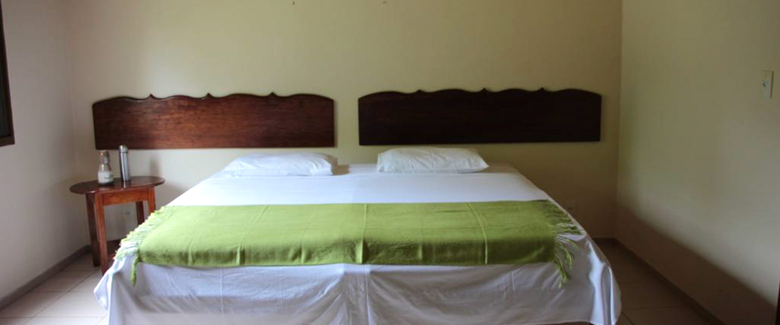 let us know your thoughts about Brazil and we will make sure to deliver the perfect safari