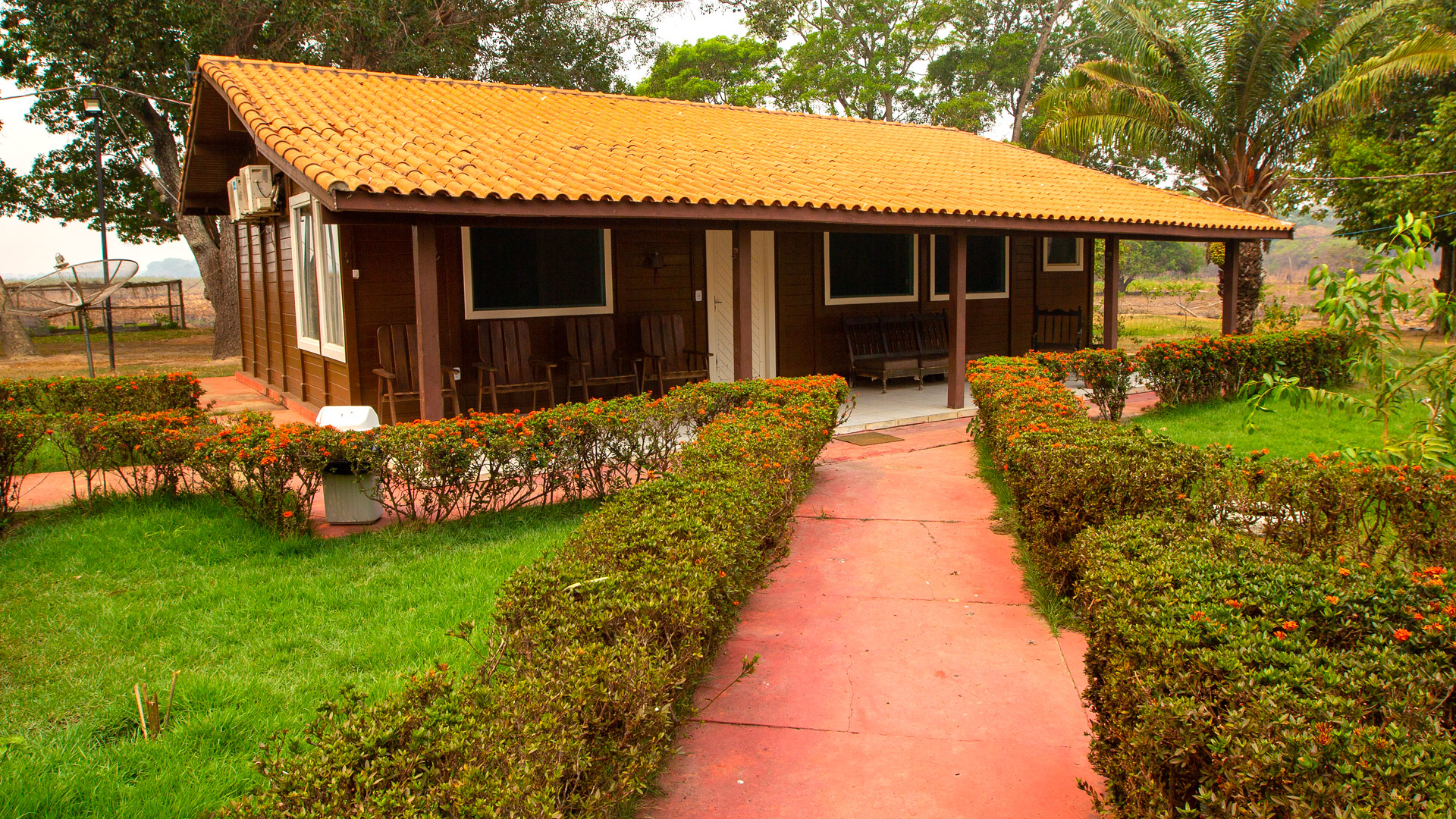 SouthWild Jaguar Retreat