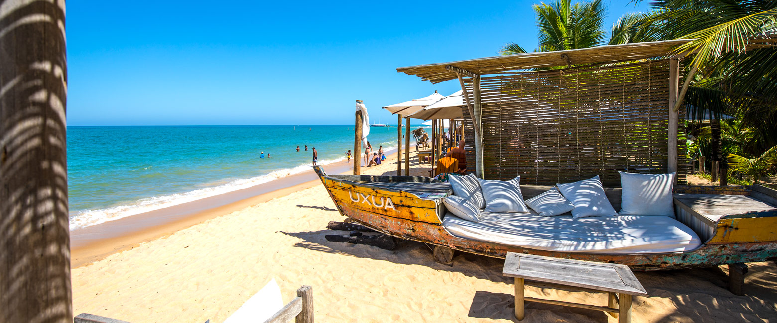 let us know your thoughts about Brazil and we will help you create the perfect safari