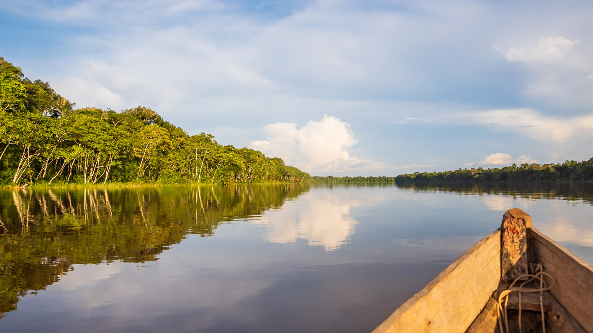 Southern Amazon