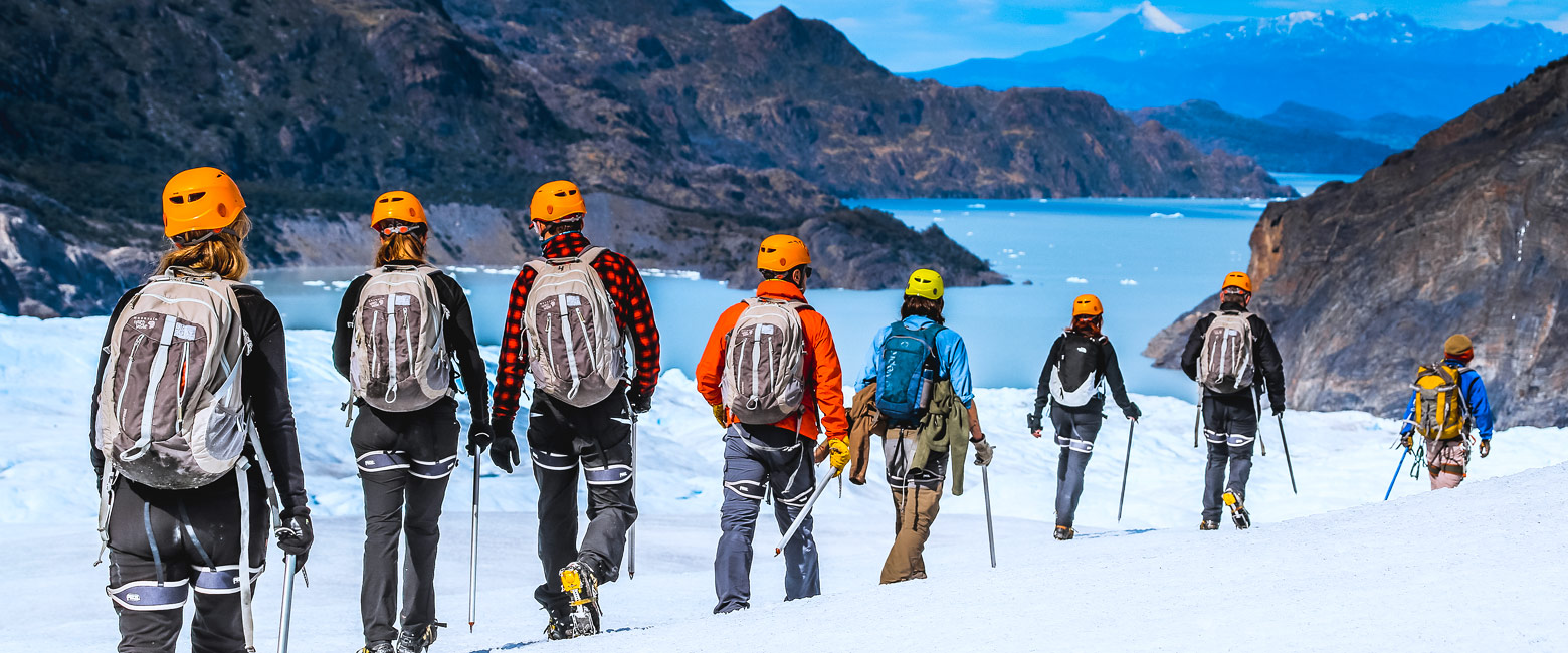 let us know your thoughts about Chile and we will help you create the perfect safari