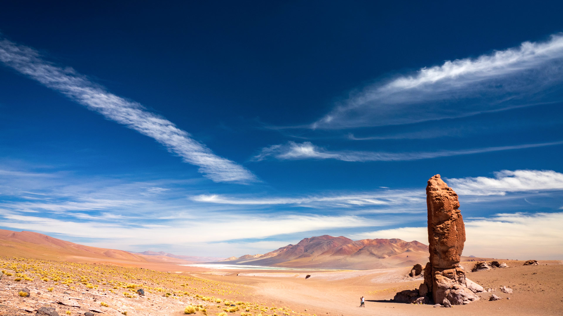 Safari in Atacama