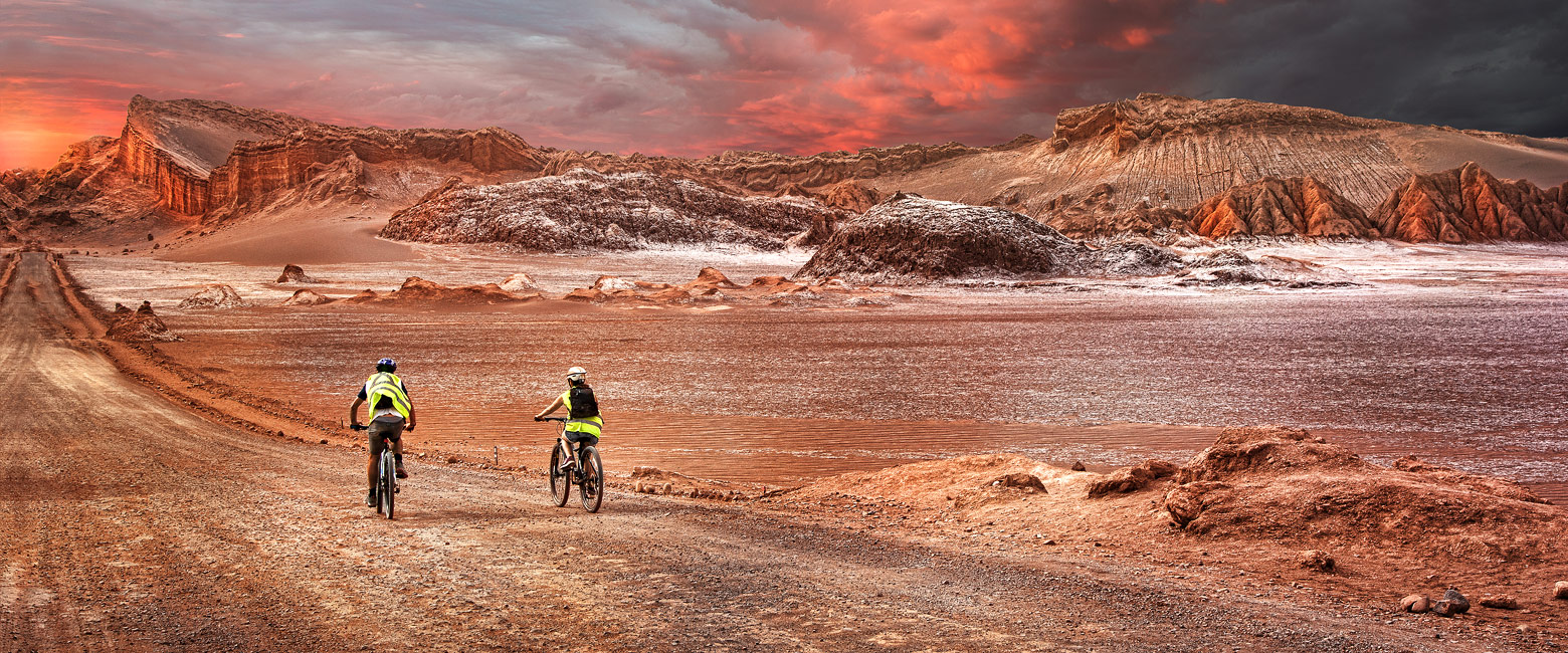 let us know your thoughts about Chile and we will help you create the perfect safari
