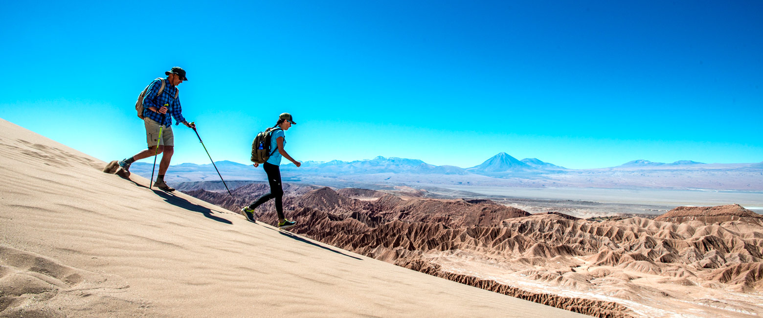 let us know your thoughts about Chile and we will help you create the perfect safari 