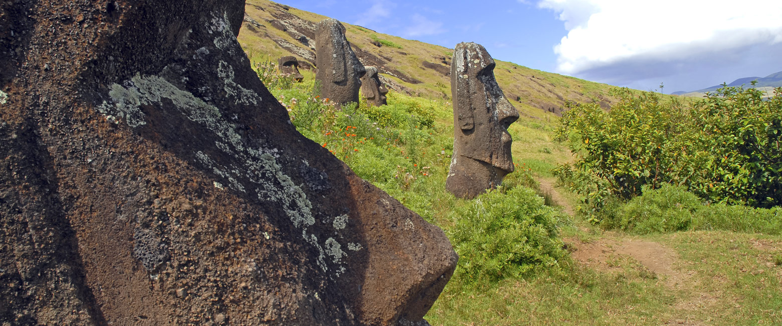 let us know your thoughts about Chile and we will help you create the perfect safari
