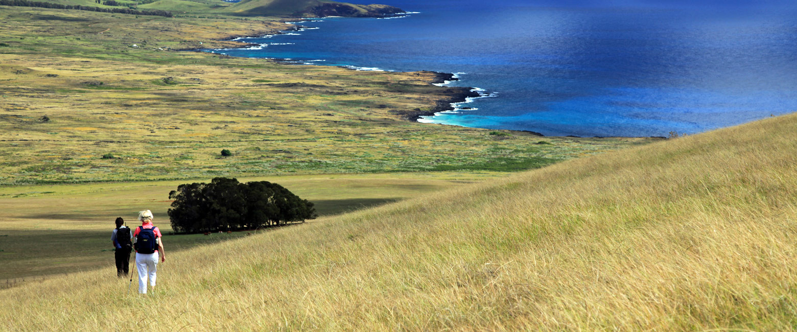 let us know your thoughts about Chile and we will help you create the perfect safari