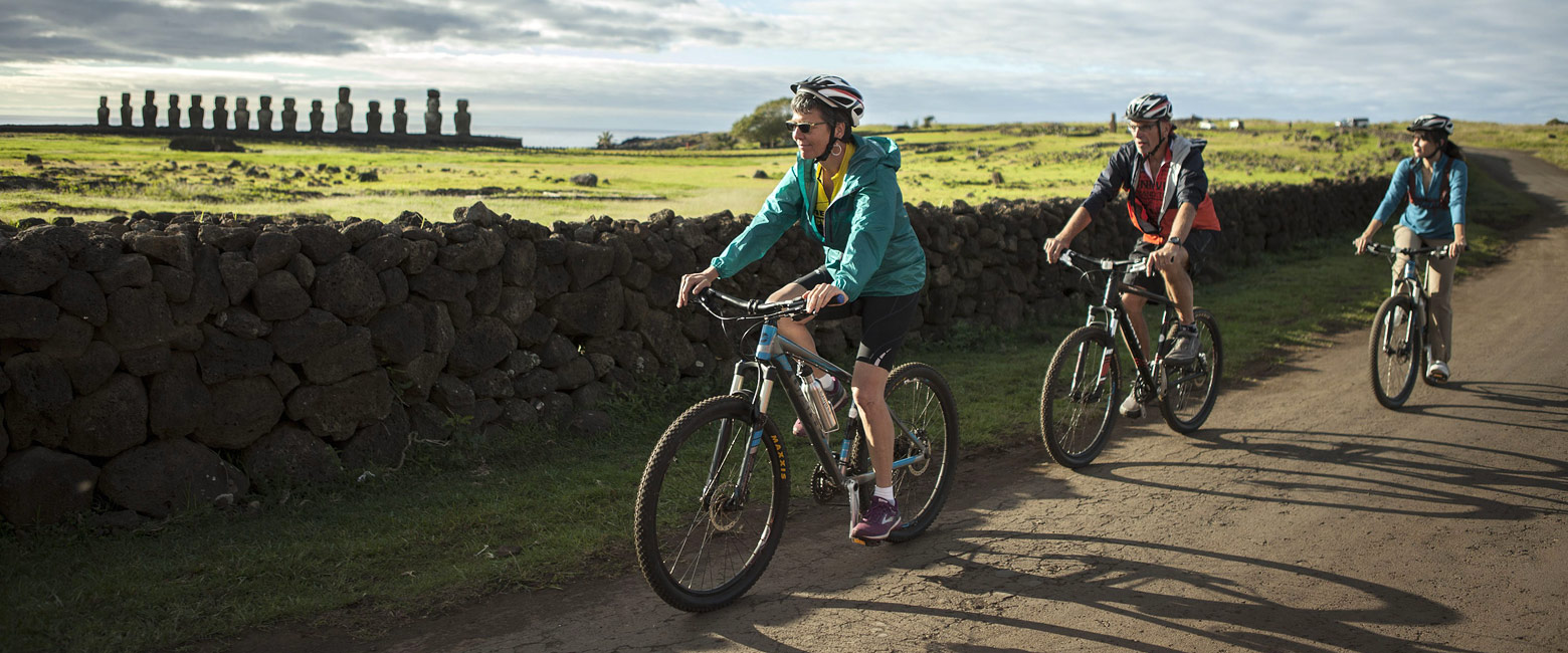 let us know your thoughts about Chile and we will help you create the perfect safari 