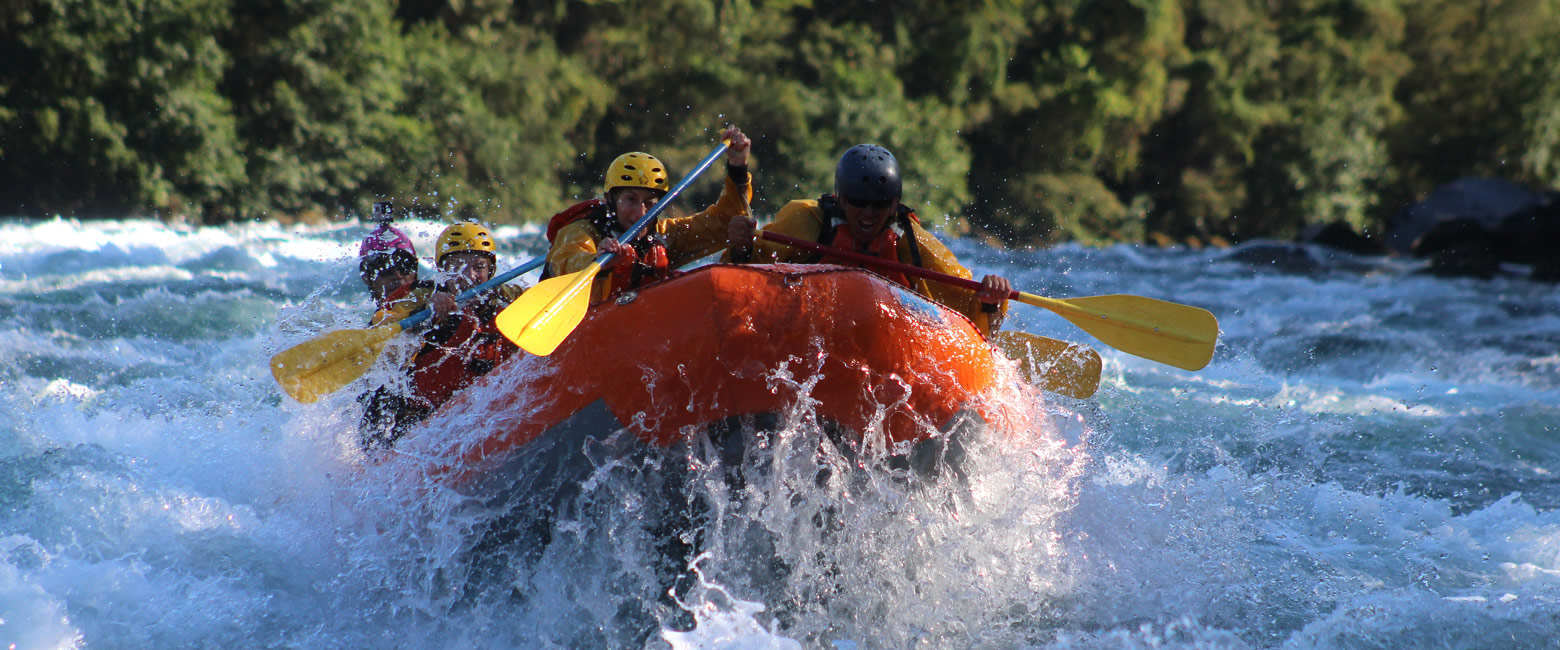 let us know your thoughts about Chile and we will help you create the perfect safari
